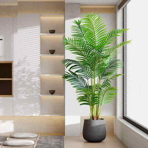  ϗtA U tFCNO[ VNt[ 1.2m 1.4m 1.6m 1.8m 2m 9t 12t 15t 18t 21t rO Q   CeA fR[V