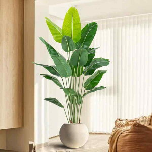 ϗtA tFCNO[ lH l gx[Yp[ ^ k  rO [  A