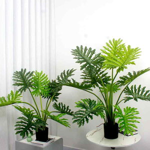 ϗtA tJ tFCNO[ ~ CeA z[fR[V fBXvC 90cm 120cm 160cm