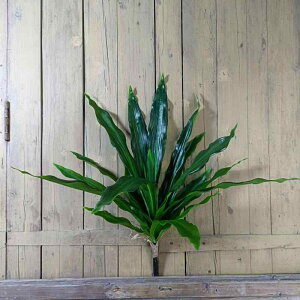 tFCNO[ CeA uWibc̖ A ϗtA  58cm 46cm  