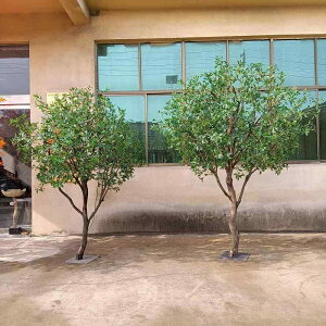 lHϗtA n tFCNO[ 0.8m 1m 1.5m 1.8m 2m 2.5m 3m 3.5m 4m  PVC   u t  Cxg p[eB[ X  rO  