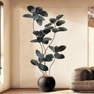 ϗtA S̖ lH 1.9m tFCNO[ CeA  A ubN PP |bg  rO Q