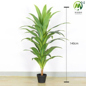 ϗtA ^ tFCNO[ S̖ uW Ս CeA fBXvC F  O ʐ^ Be z[