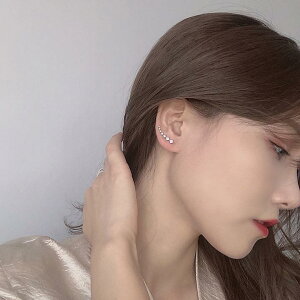 sAX fB[X ؍ ђ `[t CO  􉽊w ig p[eB[