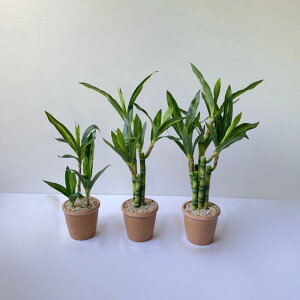 ϗtA ~j ~ tFCNO[ k A rO Q  fXN  CeA xM|