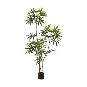 tFCNO[ E ϗtA A  rO  \t@ er{[h lHA CeA fBXvC