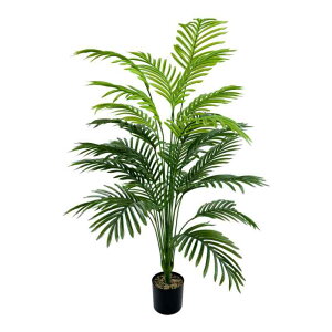 CeA ^ ϗtA U tFCNO[    t