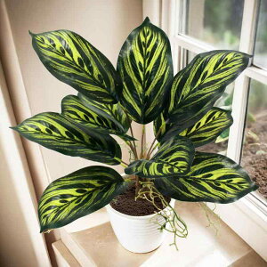 lHϗtA E| 7t 9t 12t 18t tFCNO[ S45cm 47cm 60cm   K[f fBXvC fR[V 3Dvg PVC  Cxg ʐ^Be