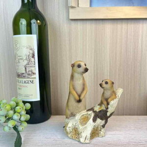  IuWF u 킢  X  H|i ~j`A   CeA fXN  {I CI G 蕨 Mtg yF