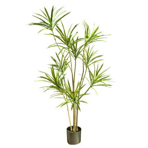 ϗtA tFCNO[ N |GXe PVC k  rO ze h fBXvC 