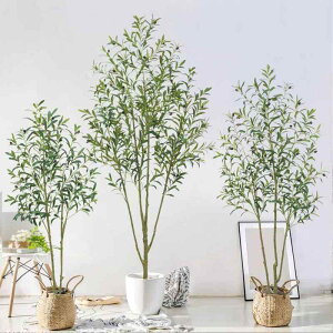 ϗtA I[u tFCNO[ ^  rO  A fBXvC