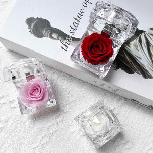 w ỉ AN{bNX   v|[Y Mtg 蕨 o^Cf[ }`bN v[g bL[ACe WG[{bNX