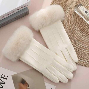  fB[X ~p h O[u X}[gtHΉ   ] oCN ^] AEghA ~M rѕ 킢