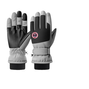  jp H~ h O[u X}[gtHΉ N t[X h g XL[  p