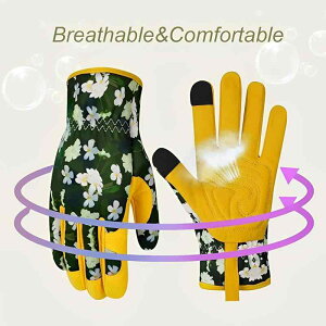  fB[X v K[fjOO[u | hh d _ ƒ؉  | A