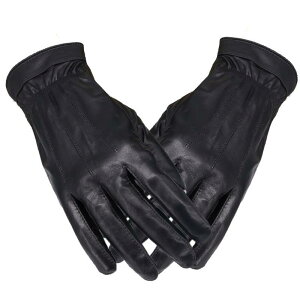  jp  U[O[u h h ۉ H~ g N ] oCN ^] TCY 傫TCY  ubN O[