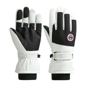  h h h N  ^b`plΉ XL[ O[u jp p AEghA X|[c ] oCN