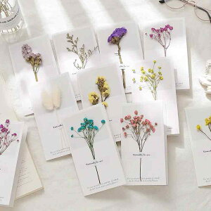 O[eBOJ[h hCt[ 5Zbg ~j Mtg a bZ[WJ[h n Ђ܂ }@ 