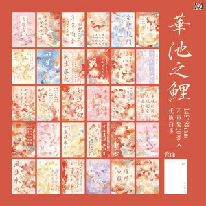 |XgJ[h a ̖͗l  Ǐ j 莆