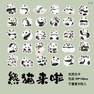 |XgJ[h 킢 p_  蒠 fR[V O[eBOJ[h RNV