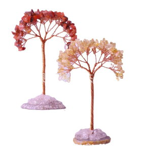 CeA     IuWF  z[ fR[V 킢 H|i bL[ACe   sN 