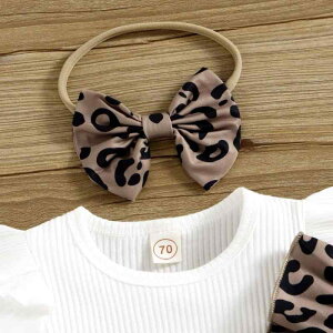 xr[EJo[I[ t B  ^ qE Op p[X Xqt 3_Zbg Ԃ V jp 킢 ig