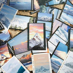 |XgJ[h i R iF bZ[WJ[h Mtg 蕨 fR[V  ?? _