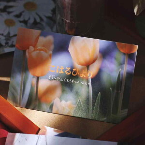 J[h |XgJ[h CXg `   ~ z[fR[V t NX}X  p[eB[