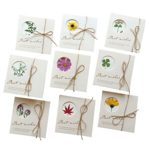 |XgJ[h 킢 G q[O I hCt[ O[eBOJ[h NX}X Mtg bZ[WJ[h(x2)