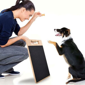 p ܂Ƃ{[h  ܂₷ ܖ ybgp ܃PApi  ؍ސ    