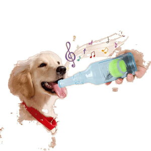 p r^   ނ  vȃS ^ ^ ybgp ejX{[t  ߋ