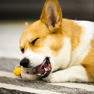 p ^pʂ  CI ]E o N} T LEE p_ TC u^ ETM