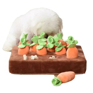 p mߋ ʂ ނ m[Y[N Vяꏊ ?m XgX ^s