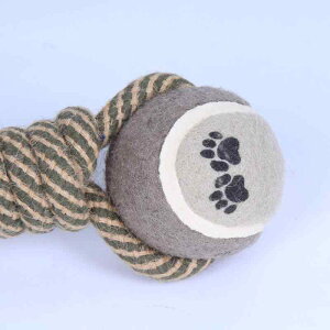 ybgp   Rbg [v ҂ ʂ Rbg   v ϋv XgX ^s