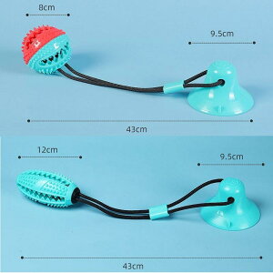 p ނ [vtzՃ{[ ݉  P XgX mߋ 