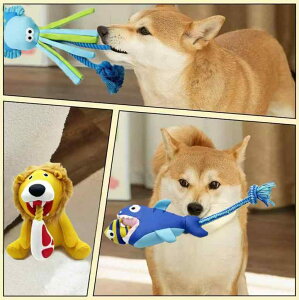 p  [v ʂ ϊ  j Vѓ ʂ CI r AQ[^[ Aq T  ^R