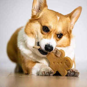 p ނ S  ߋ ^ q e ybgp  XgX v