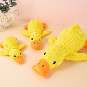 p ʂ  YQ Aq qp ybgp R[M[ Č  ނ XgX