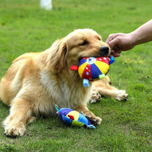 ybgp p {[ ʂ  t Xgbvt ^ ^ ^ ΐF̔L ԐF̌ sNF̋ [F̓