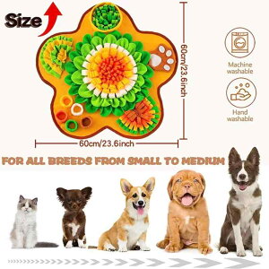 ybg koP}bg   Ԍ` mߋ kpbh Pѕz ނ ʂ |GXe