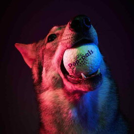 犬用おもちゃ ペット用おもちゃ 発声おもちゃ 噛むおもちゃ ぬいぐるみ 鹿の角 TPR製 知育玩具 歯磨き効果 遊び用 ストレス解消 小/中サイズ 象 ビスケット チーズボール 恐竜 ライオン フクロウ キツネ アライグマ ワニ トラ フライングリング