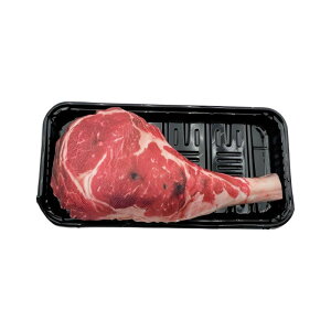 ybgp  L  ϋv ނ o ʂ 핀 