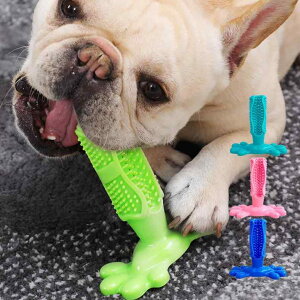 p uV  ނ  ߋ p v TPRf  ̃PA XgX ^ ^ ^ sPA