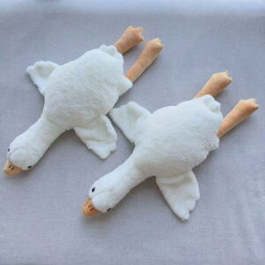 ybgpi p ʂ ނ  o邨 Aj} ʂ Lp  j TC VJ qE Ck V}E} ]E