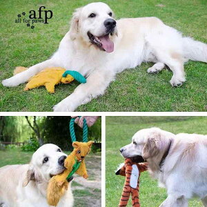 p [v ʂ ނ ^ ^ ^  XgX m f^PA v 