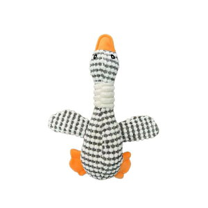 ybgp  L ʂ ނ ʂ Aq p