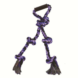 p ^ ނ Rbg [v v  ^s XgX IW bh 