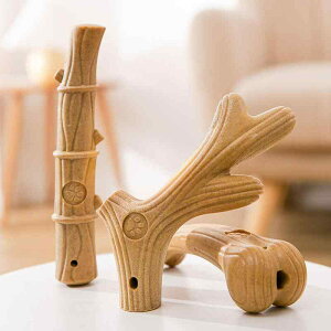 p ނ ̊p  | ؍ XgX m  ^ ^ ^ ϋv