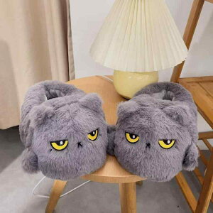 [V[Y fB[X 킢 L  Xbp ~ S  H~