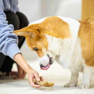 p ނ ̊p VR   ϋv  ^ ^